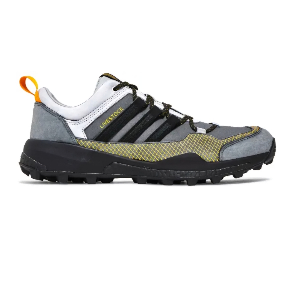 ADIDAS Terrex Skychaser Hiking Shoe Consortium X Livestock  SZ 12